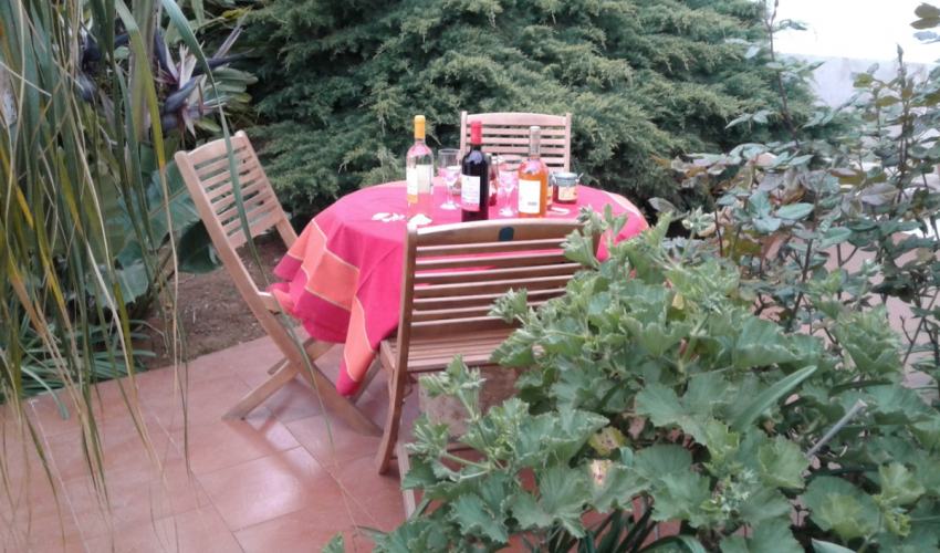 La Mimosa